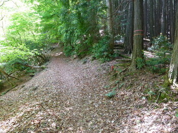P1010811.jpg