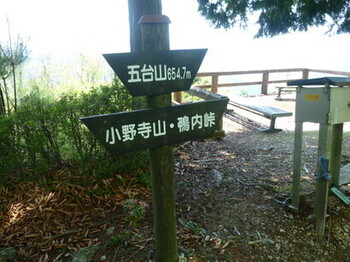 P1010812.jpg