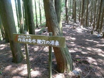 P1010817.jpg