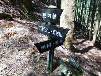 P1010832.jpg