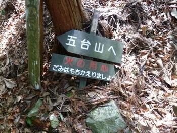 P1010833.jpg