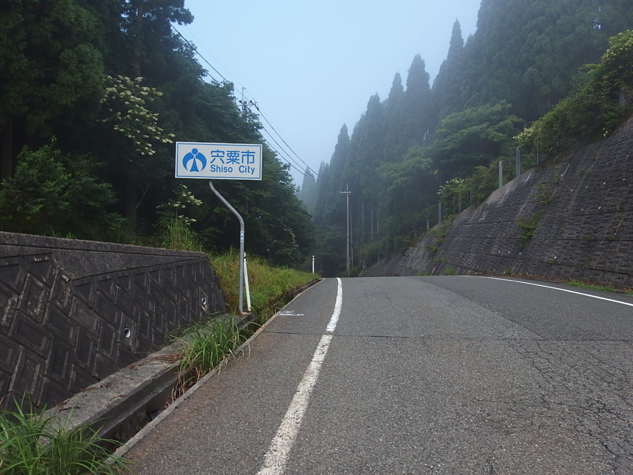 若杉峠から新戸倉スキー場への尾根歩き あざみ野夢工房